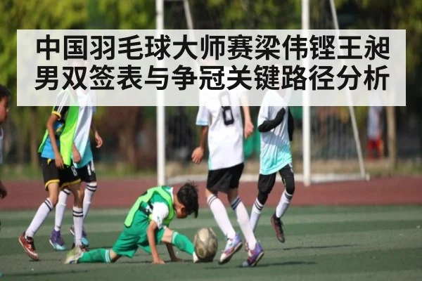 中国羽毛球大师赛梁伟铿王昶男双签表与争冠关键路径分析 | kaiyun
